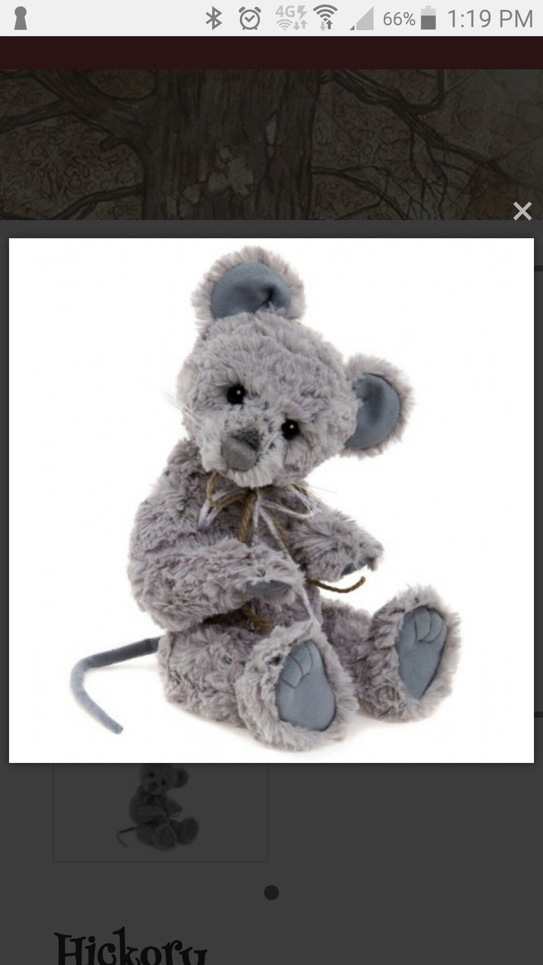 Rainbow the Chameleon- Beanie Buddy