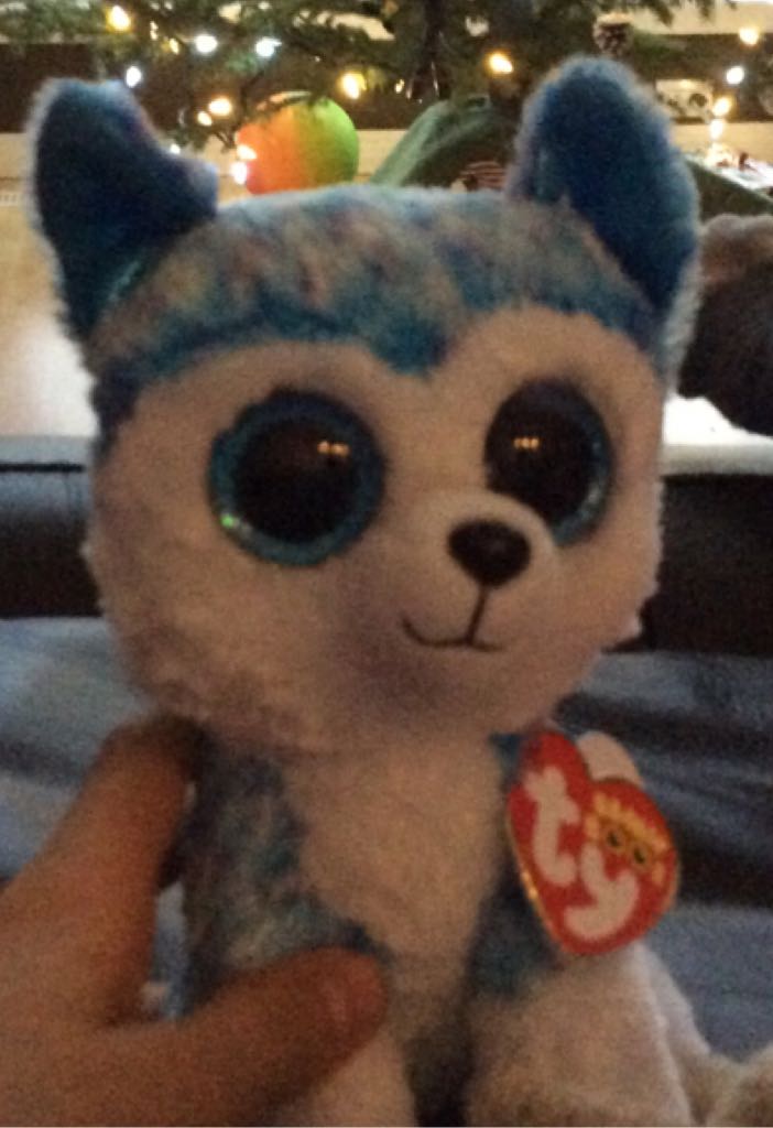 Santa The Santa Claus