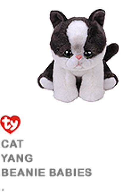 November The Birthday Bear