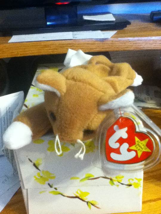 Nip The Cat  (United States) plush collectible [Barcode 008421040032] - Main Image 2