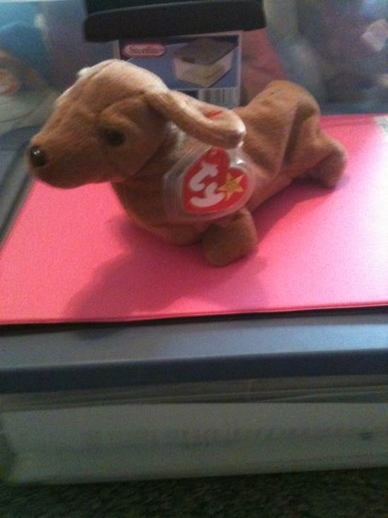 Weenie the Dachshund Dog  (United States) plush collectible [Barcode 008421040131] - Main Image 2