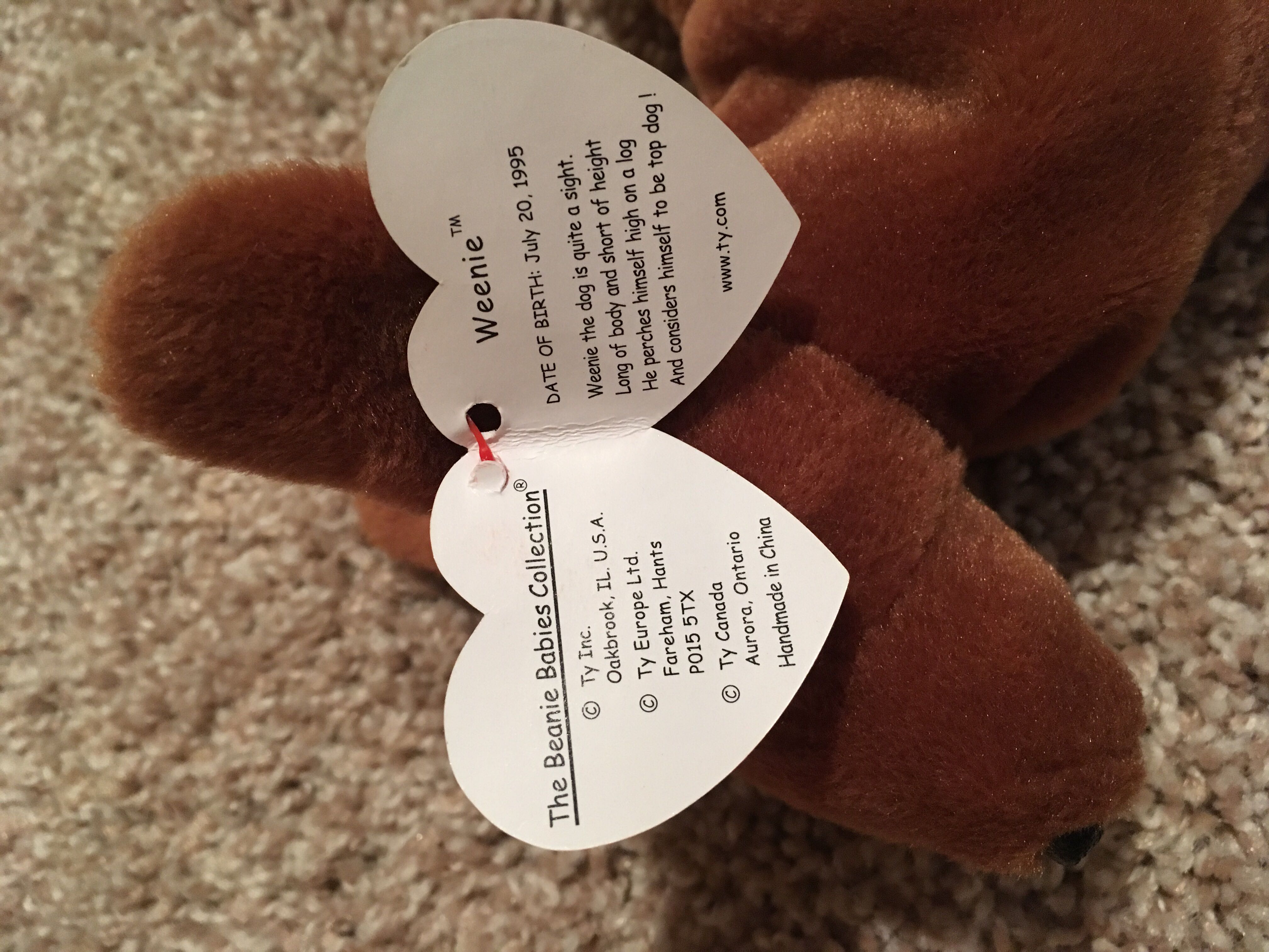 Weenie the Dachshund Dog  (United States) plush collectible [Barcode 008421040131] - Main Image 3