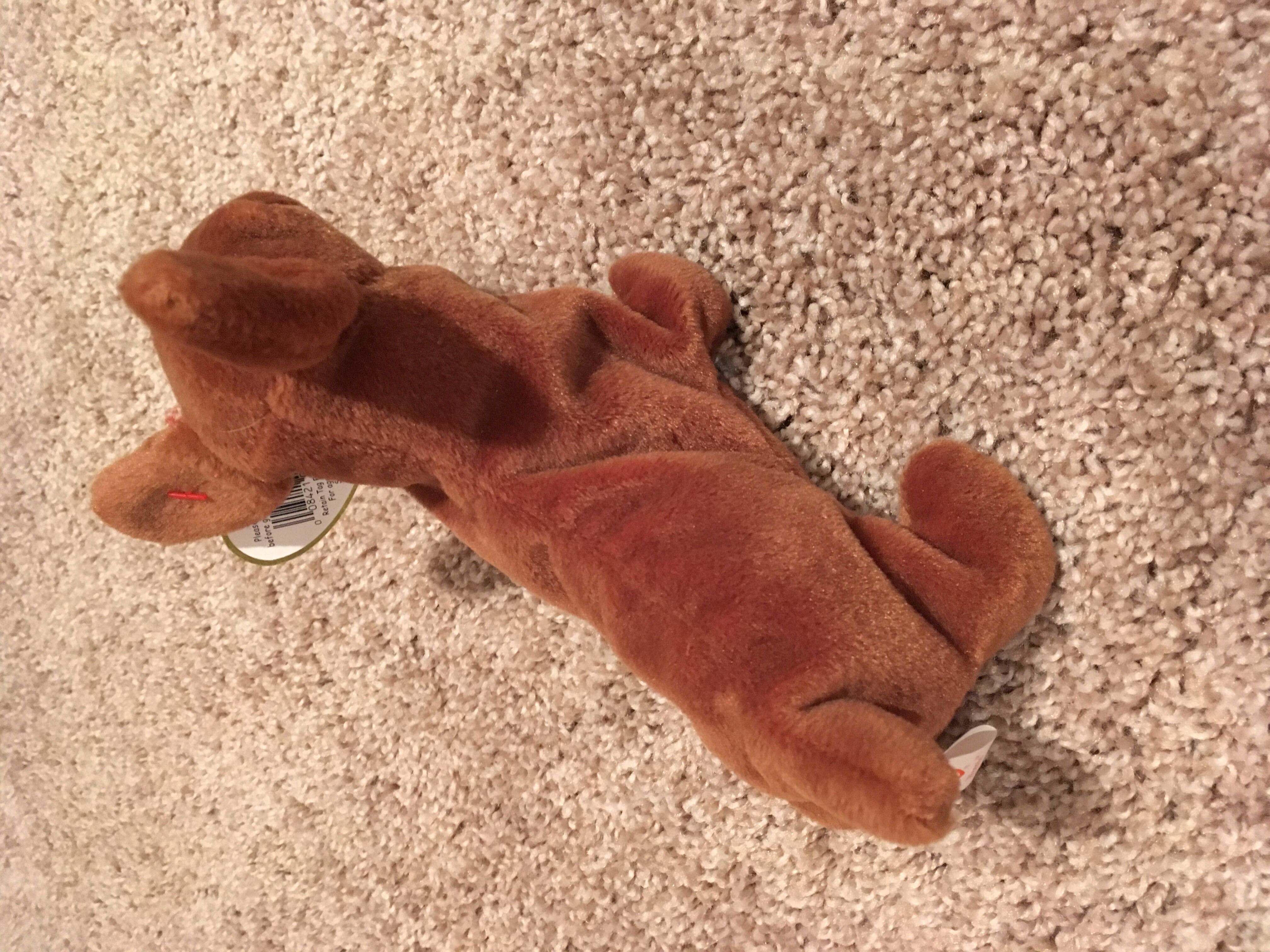 Weenie the Dachshund Dog  (United States) plush collectible [Barcode 008421040131] - Main Image 4
