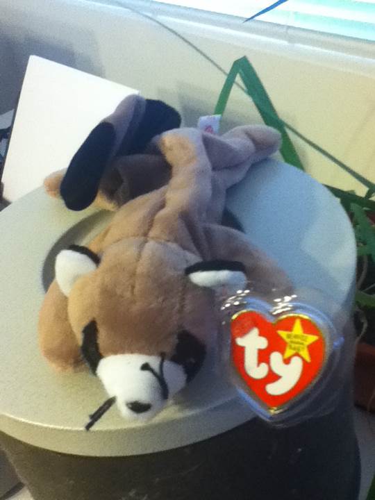 Ringo the Raccoon  (United States) plush collectible [Barcode 008421040148] - Main Image 2