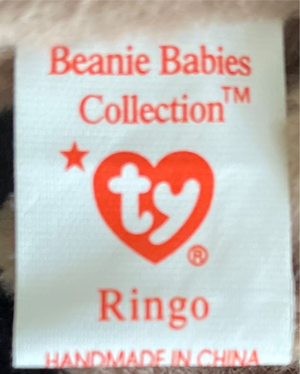 Ringo the Raccoon  (United States) plush collectible [Barcode 008421040148] - Main Image 4