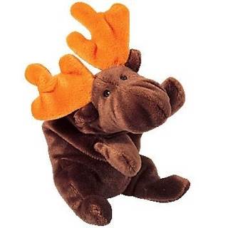 Chocolate the Moose