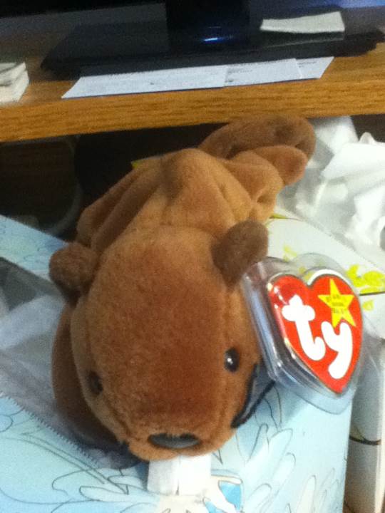 Bucky the Beaver  (United States) plush collectible [Barcode 008421040162] - Main Image 2