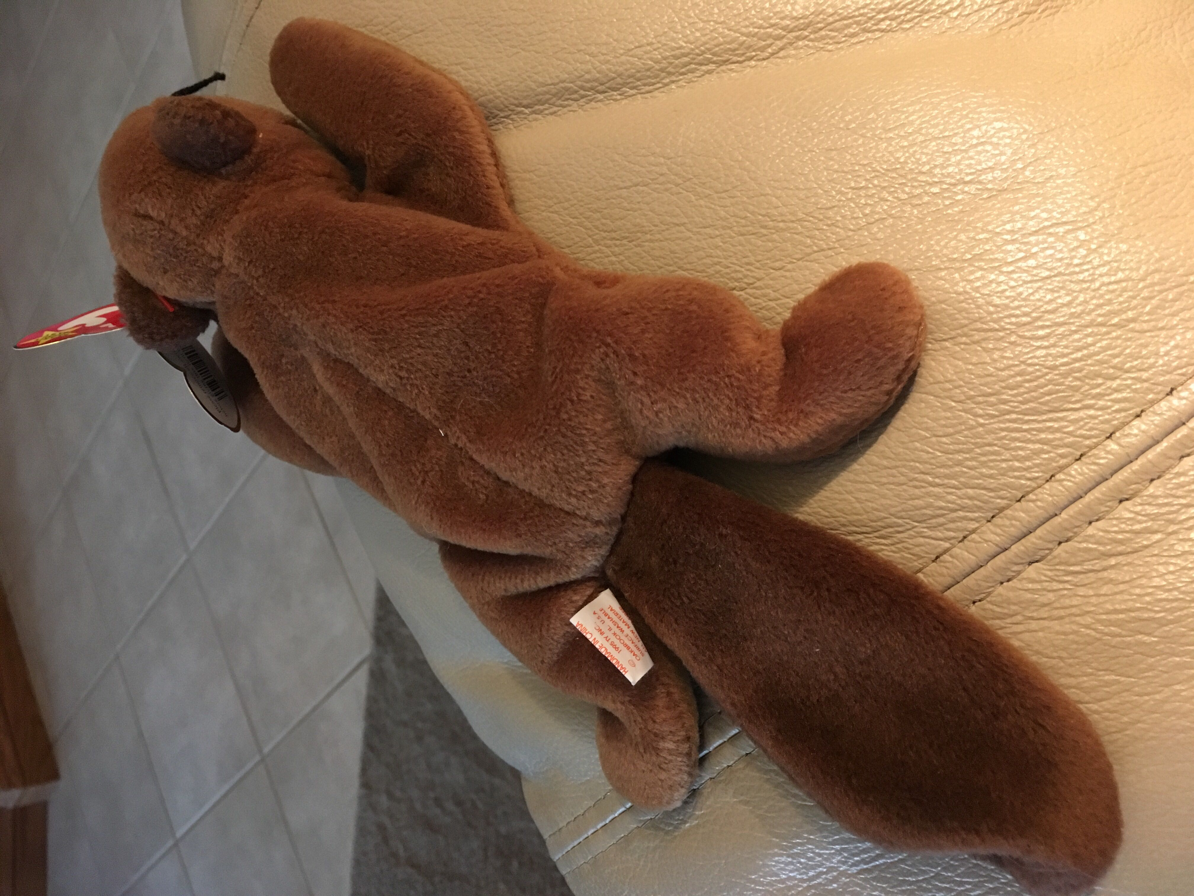 Bucky the Beaver  (United States) plush collectible [Barcode 008421040162] - Main Image 4