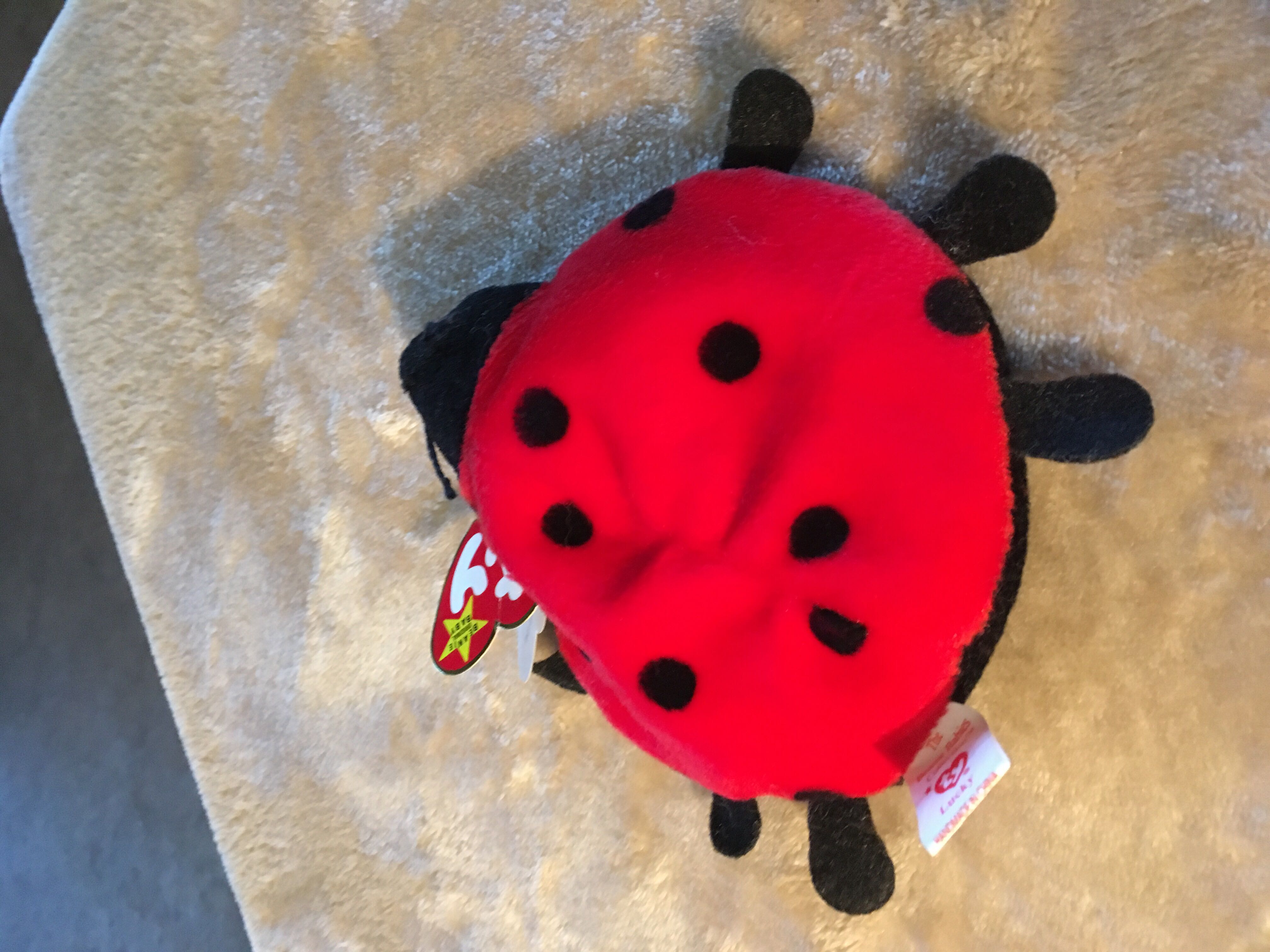 Lucky The Ladybug  (United States) plush collectible [Barcode 008421040407] - Main Image 4