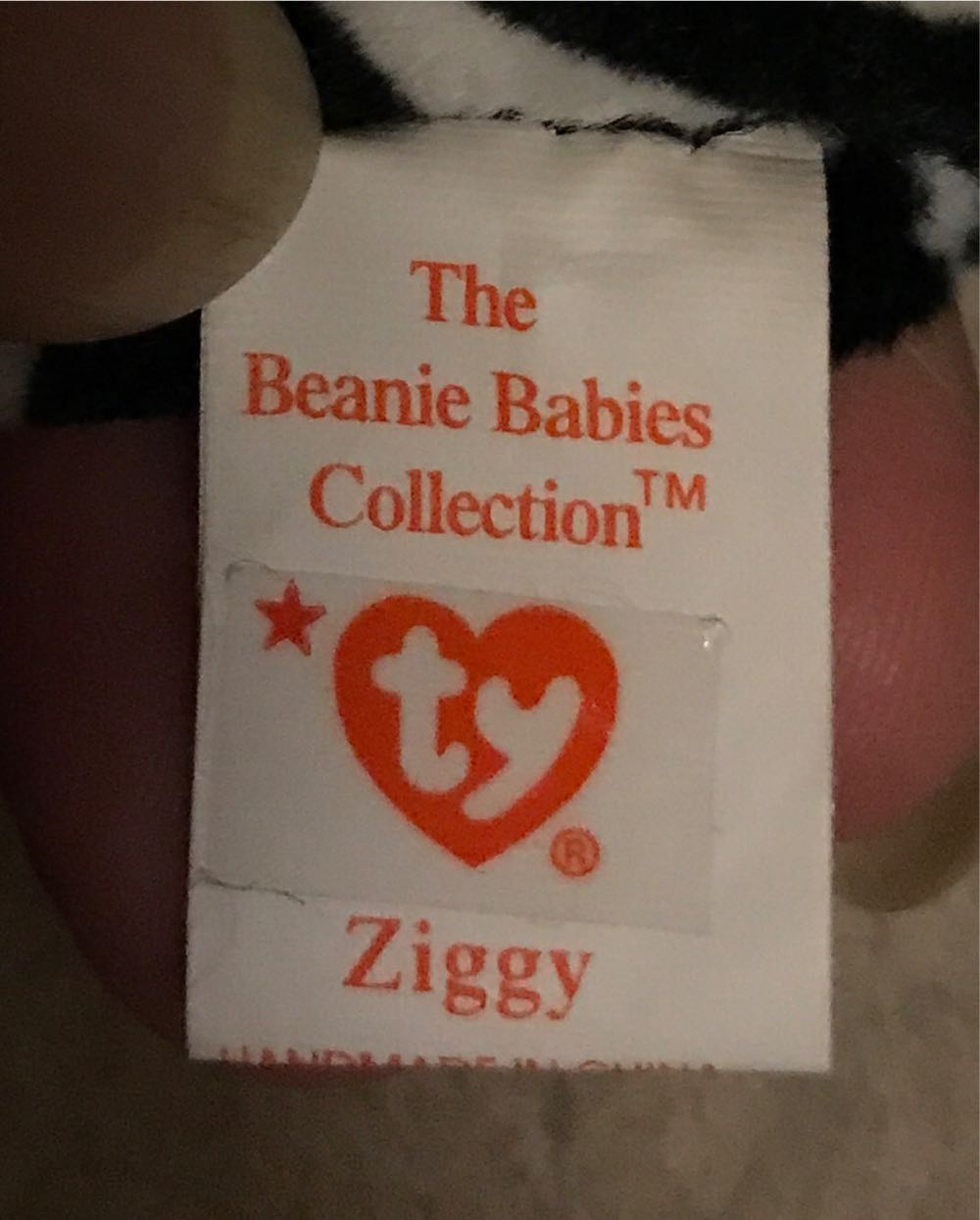 Ziggy The Zebra  (United States) plush collectible [Barcode 008421040636] - Main Image 4