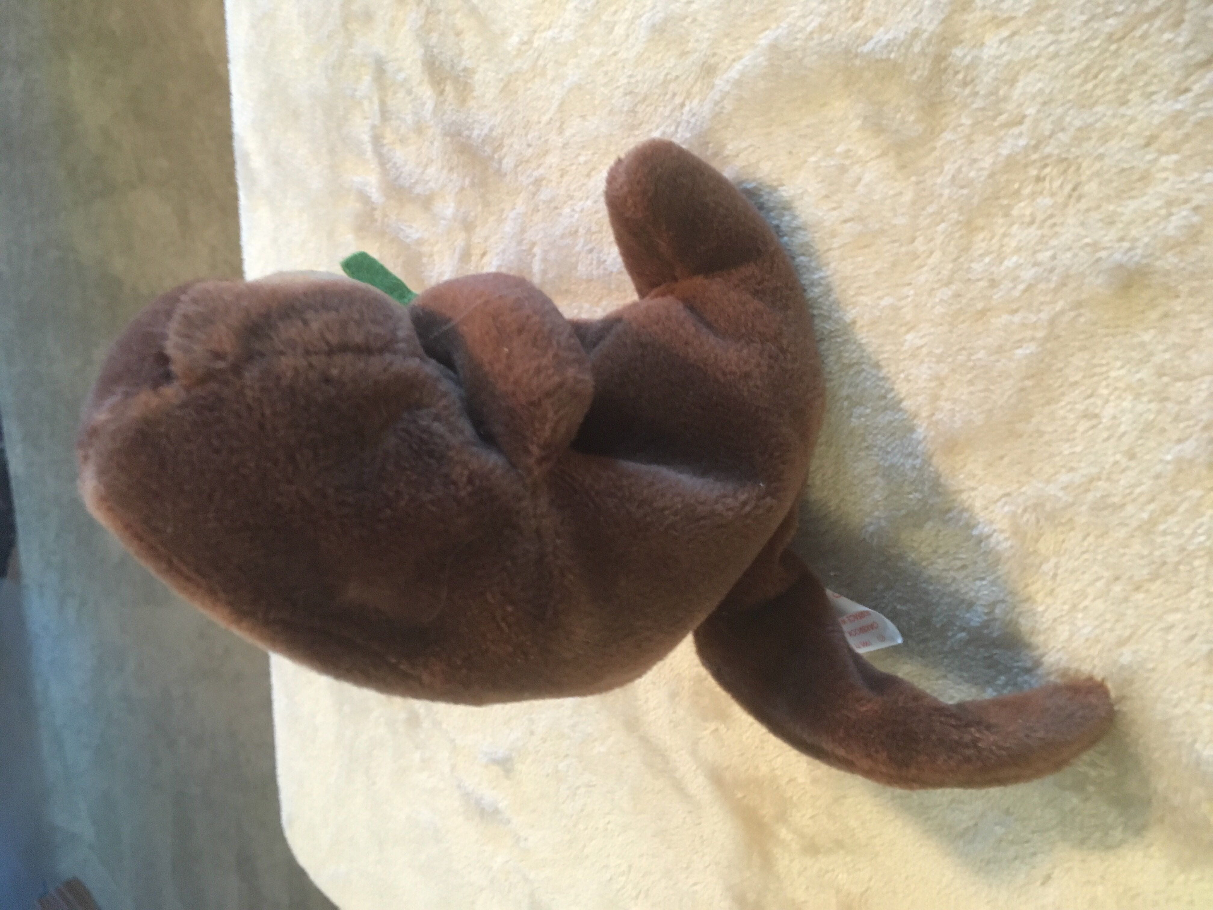 Seaweed The Otter  plush collectible [Barcode 008421040803] - Main Image 4