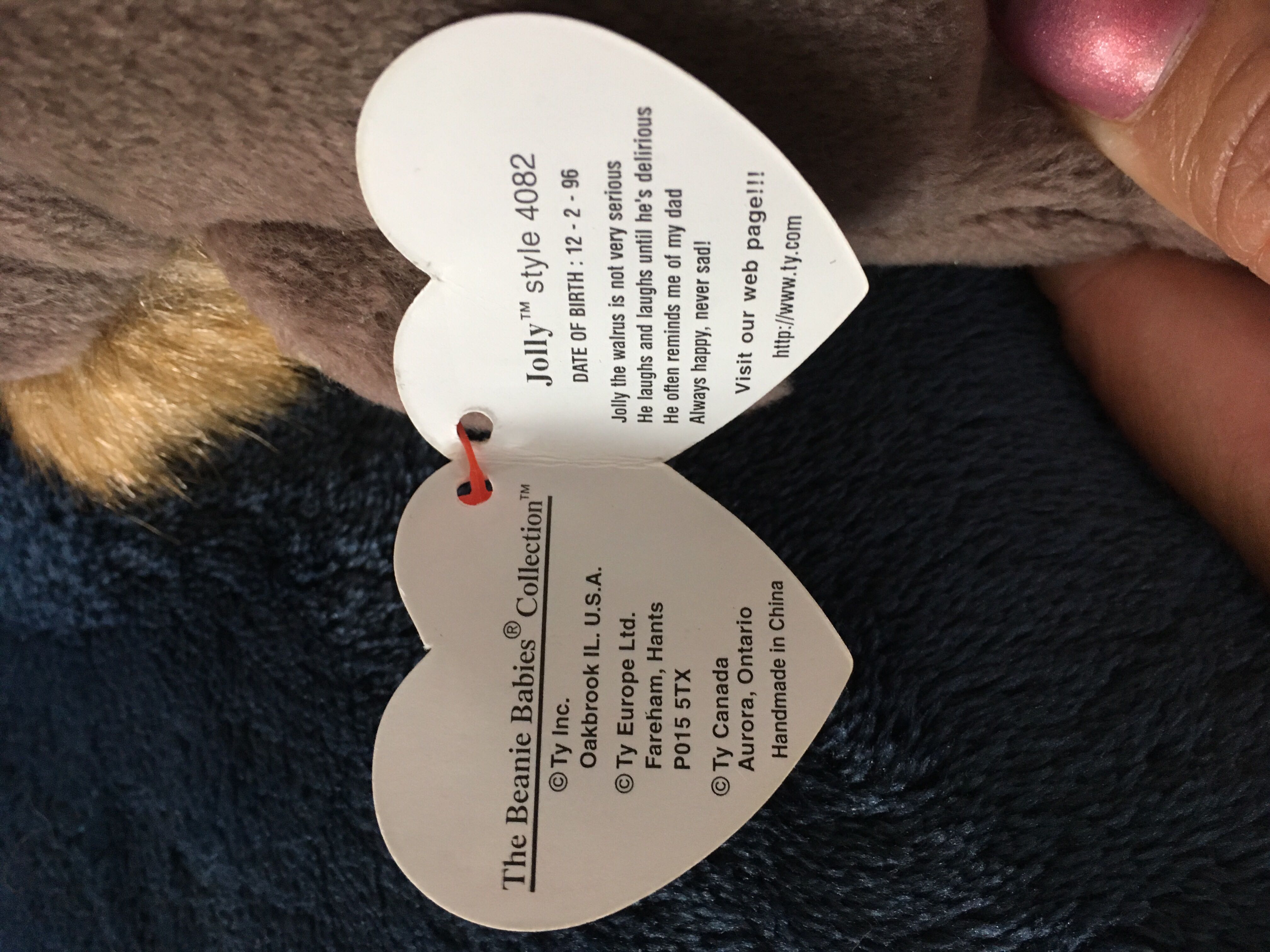 Jolly the Walrus  (United States) plush collectible [Barcode 008421040827] - Main Image 3