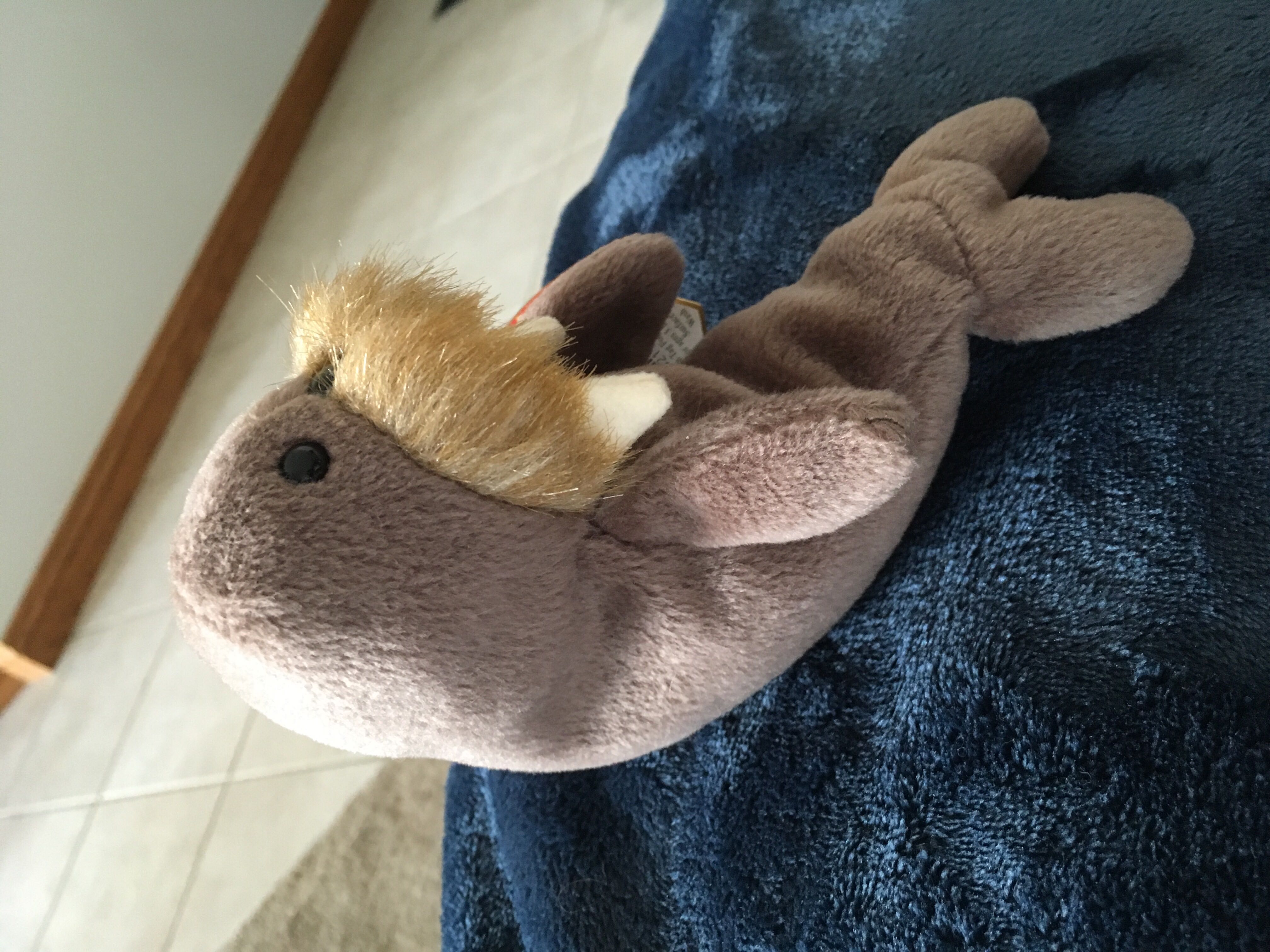 Jolly the Walrus  (United States) plush collectible [Barcode 008421040827] - Main Image 4