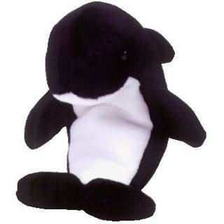 Waves The Orca Whale
