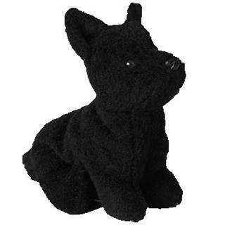 Scottie
