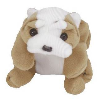 Wrinkles The Bulldog