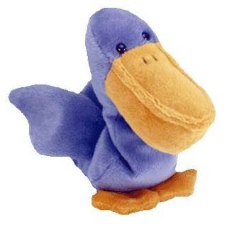 Scoop The Pelican