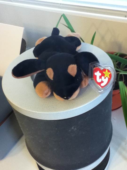 Doby The Doberman Dog  (United States) plush collectible [Barcode 008421041107] - Main Image 2