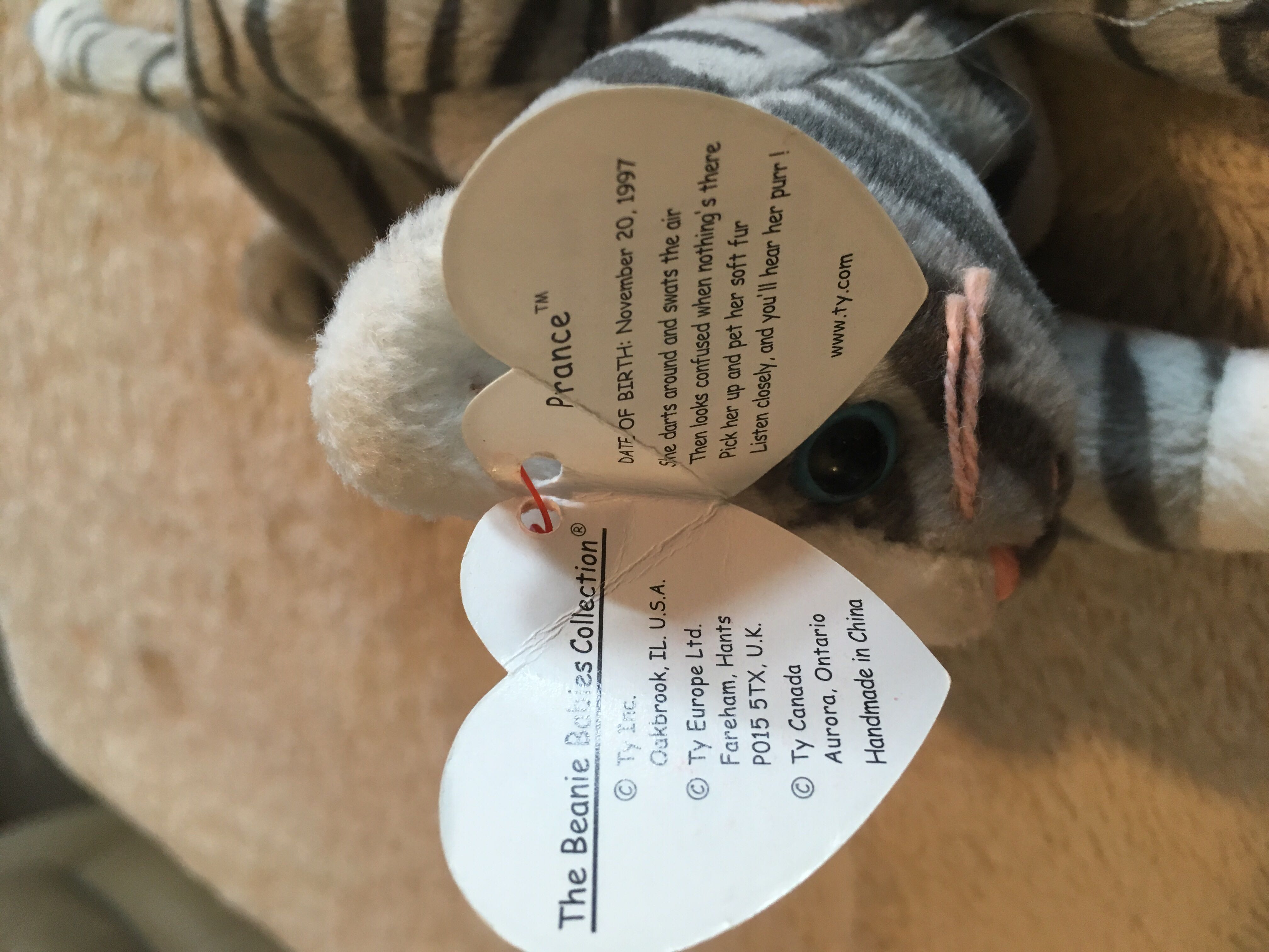 Prance The Cat  (United States) plush collectible [Barcode 008421041237] - Main Image 3