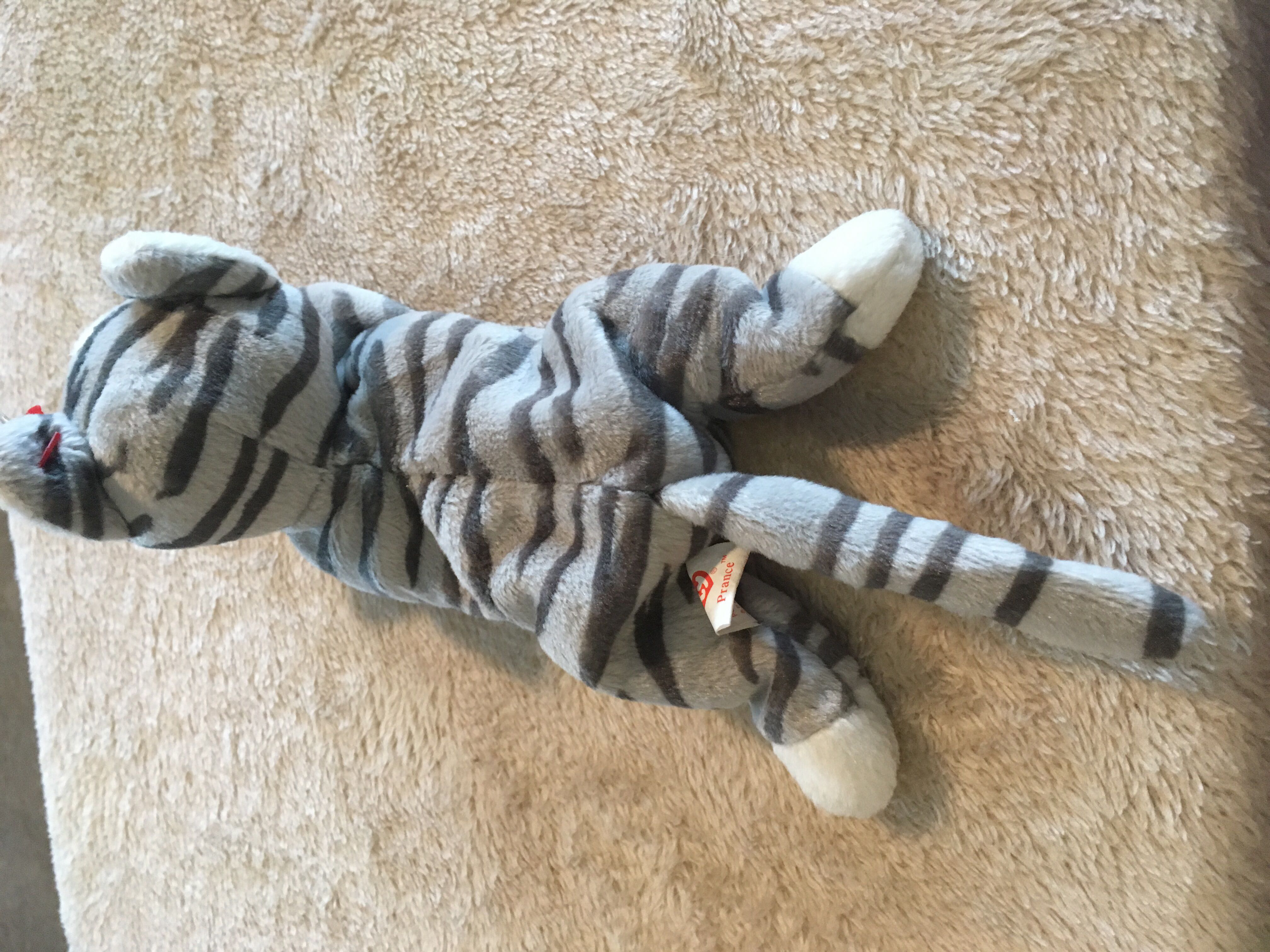 Prance The Cat  (United States) plush collectible [Barcode 008421041237] - Main Image 4
