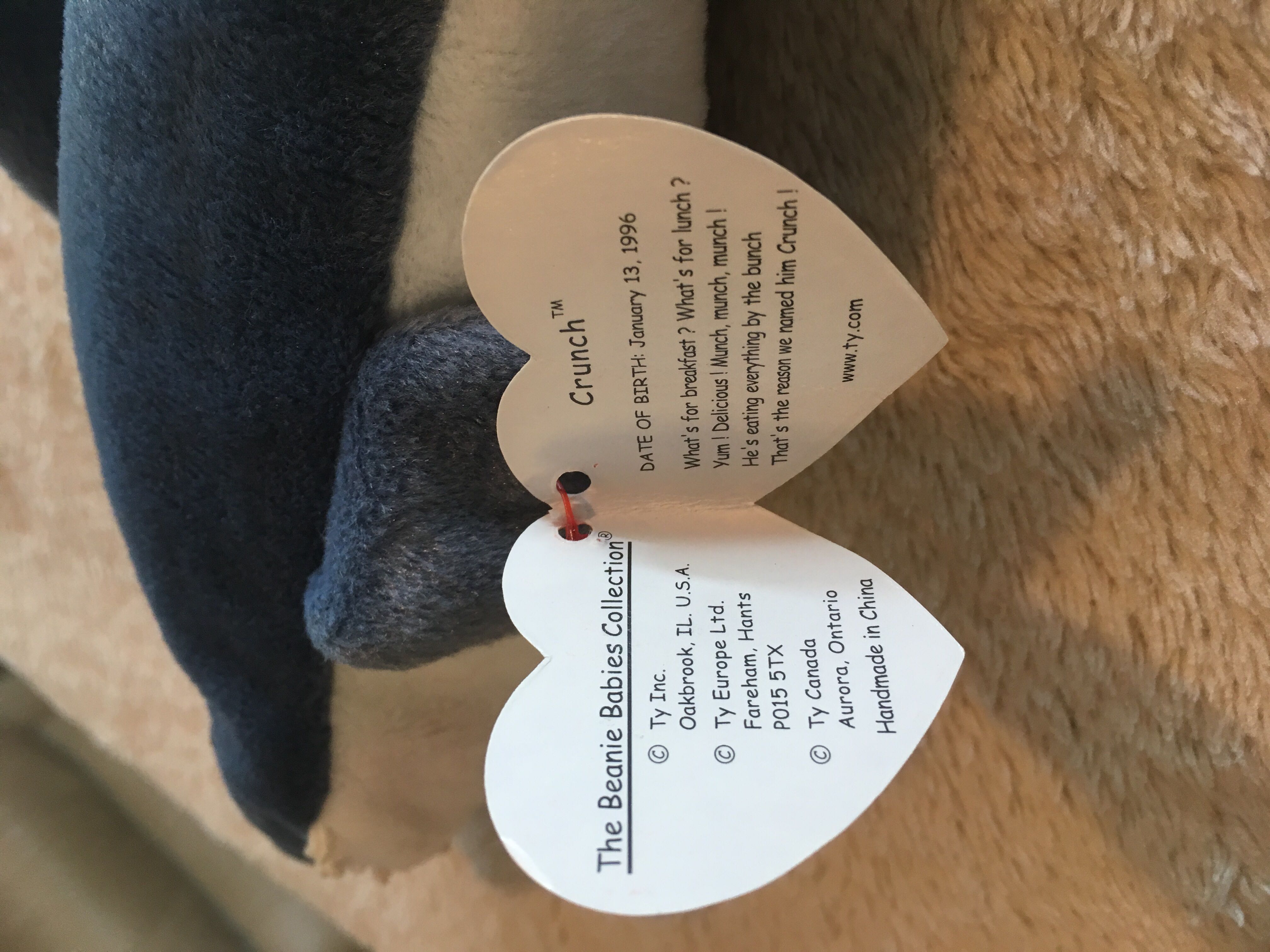 Crunch The Shark  (United States) plush collectible [Barcode 008421041305] - Main Image 3