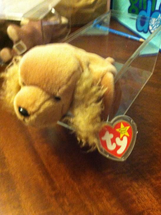 Spunky The Cocker Spaniel Dog  (United States) plush collectible [Barcode 008421041848] - Main Image 2