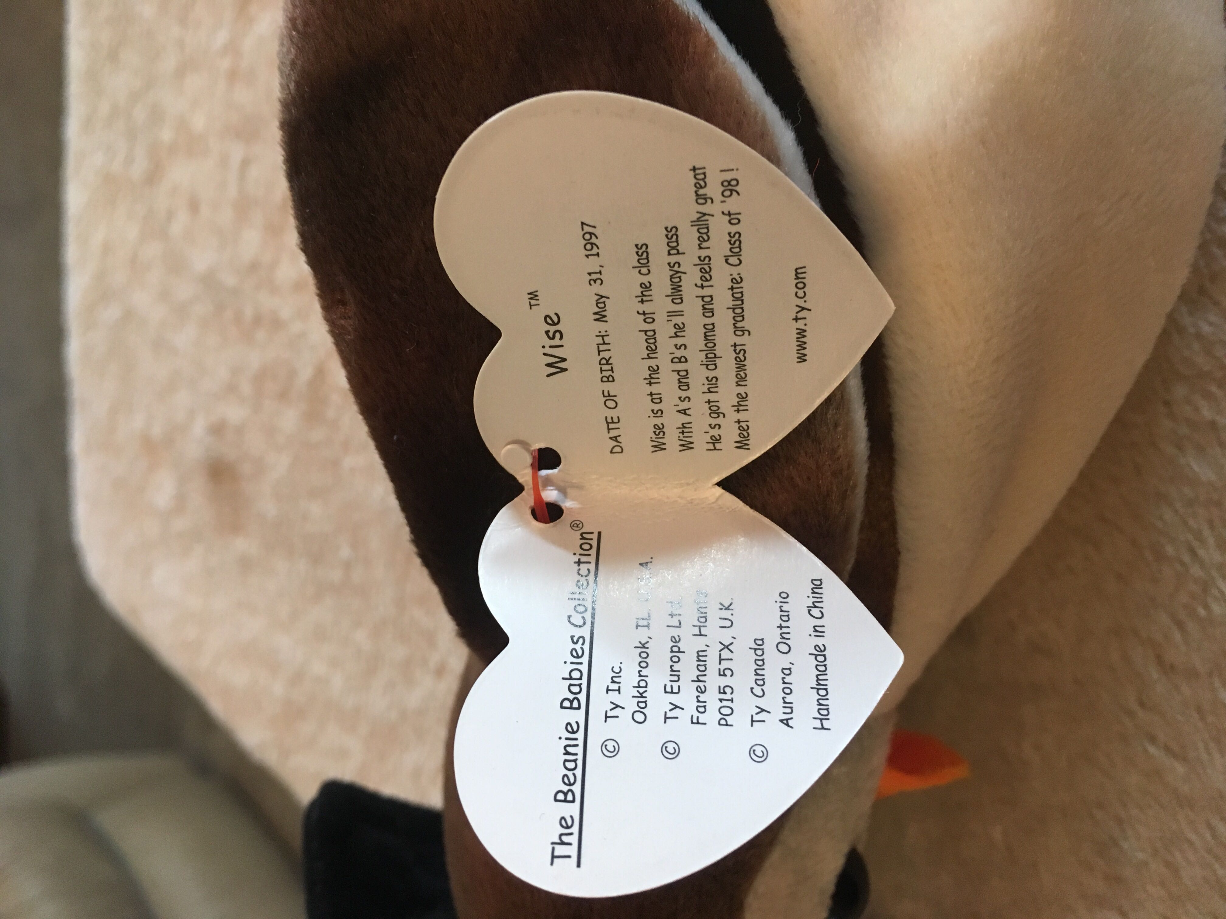 Wise The Owl - Graduation  (United States) plush collectible [Barcode 008421041879] - Main Image 3