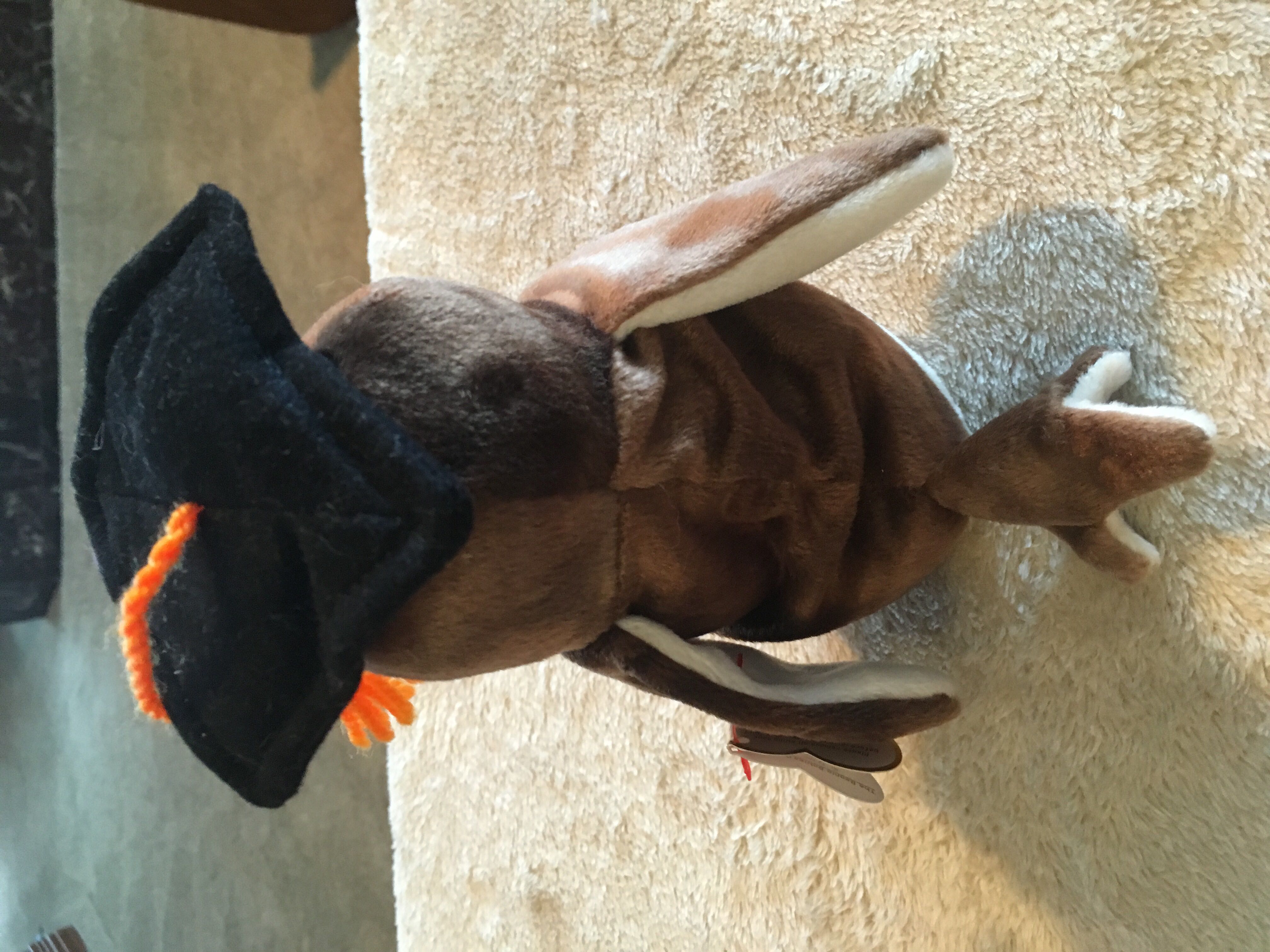 Wise The Owl - Graduation  (United States) plush collectible [Barcode 008421041879] - Main Image 4