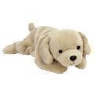 Fetch The Golden Retriever Dog
