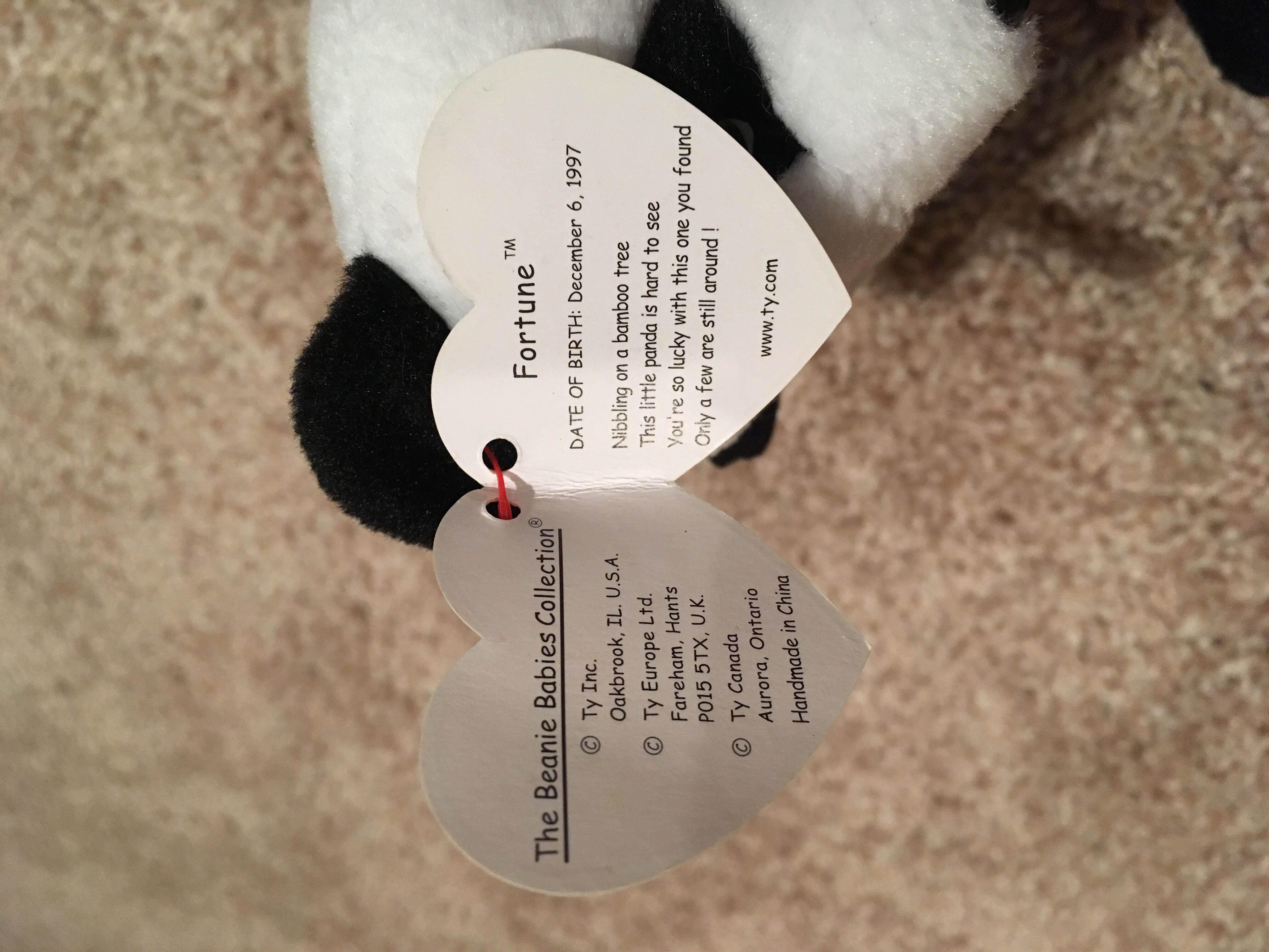 Fortune The Bear  (United States) plush collectible [Barcode 008421041961] - Main Image 3