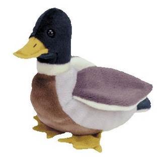 Jake the Mallard Duck