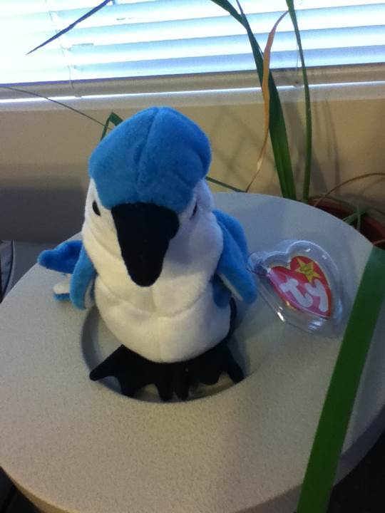 Rocket The Blue Jay Bird  (United States) plush collectible [Barcode 008421042029] - Main Image 2