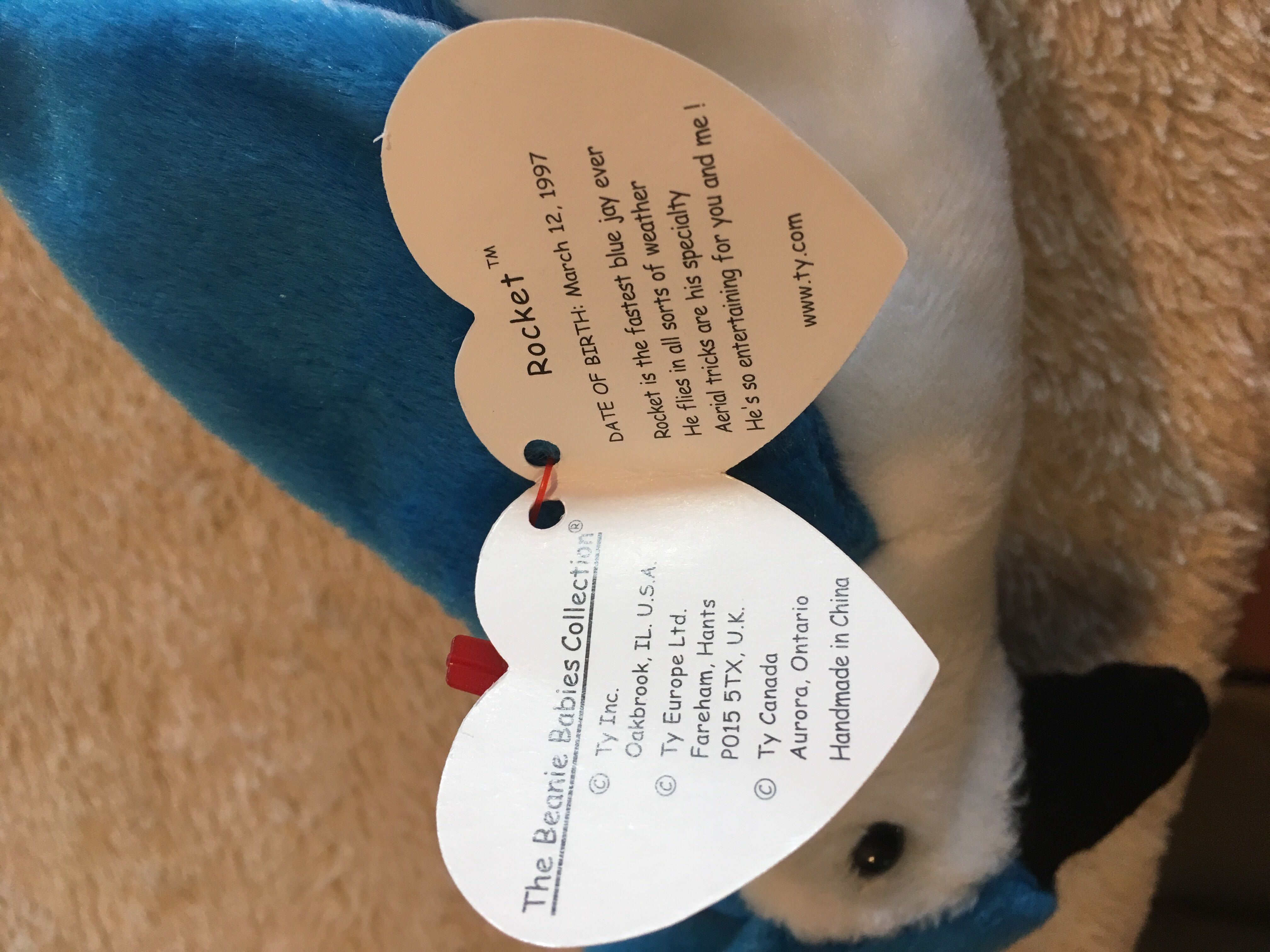 Rocket The Blue Jay Bird  (United States) plush collectible [Barcode 008421042029] - Main Image 3