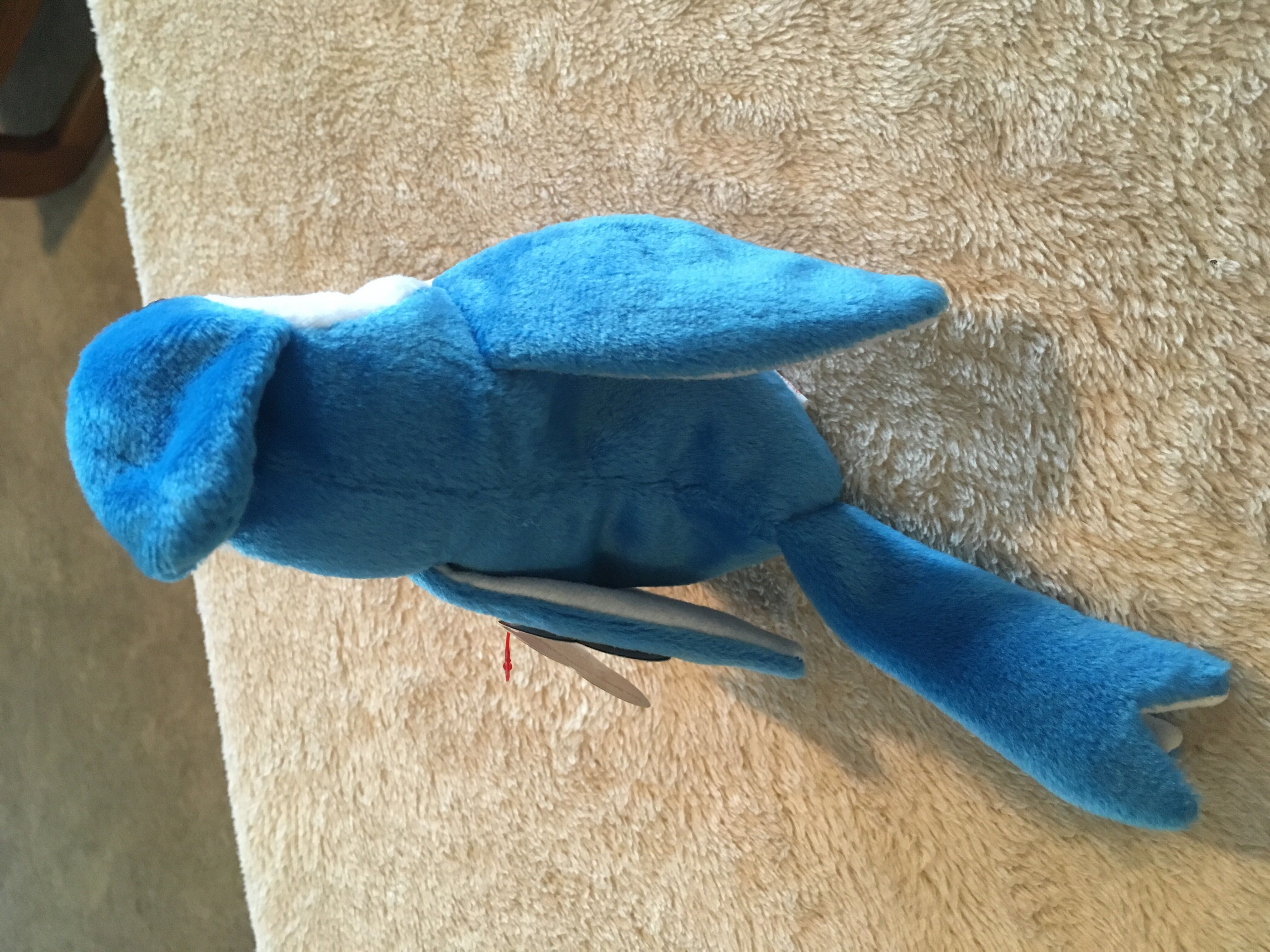 Rocket The Blue Jay Bird  (United States) plush collectible [Barcode 008421042029] - Main Image 4