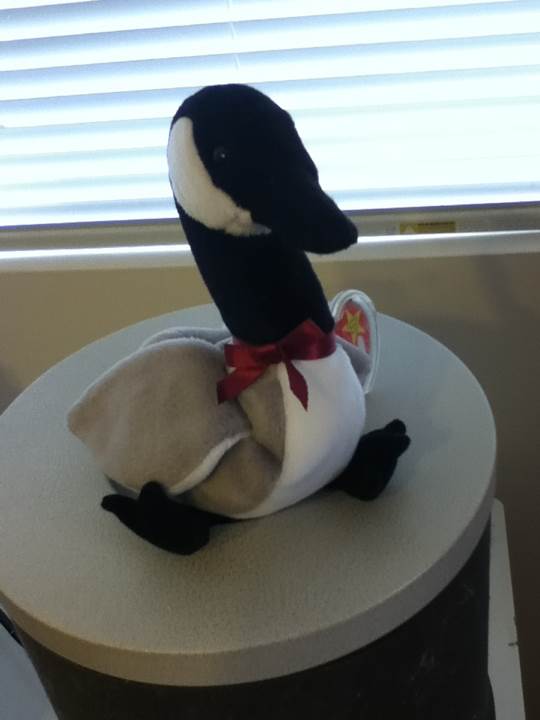 Loosy The Canadian Goose  (United States) plush collectible [Barcode 008421042067] - Main Image 2