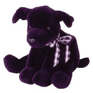 Luke The Labrador Retriever