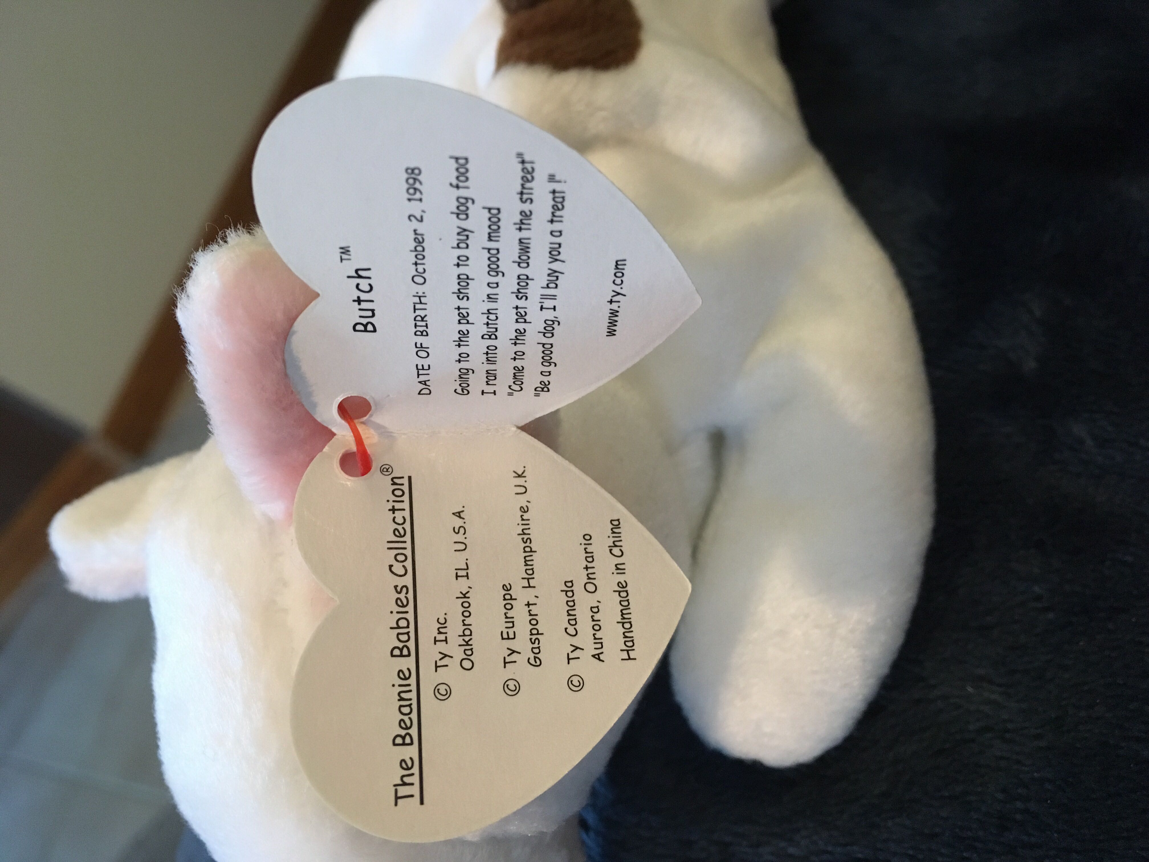 Butch The Bull Terrier  (United States) plush collectible [Barcode 008421042272] - Main Image 3