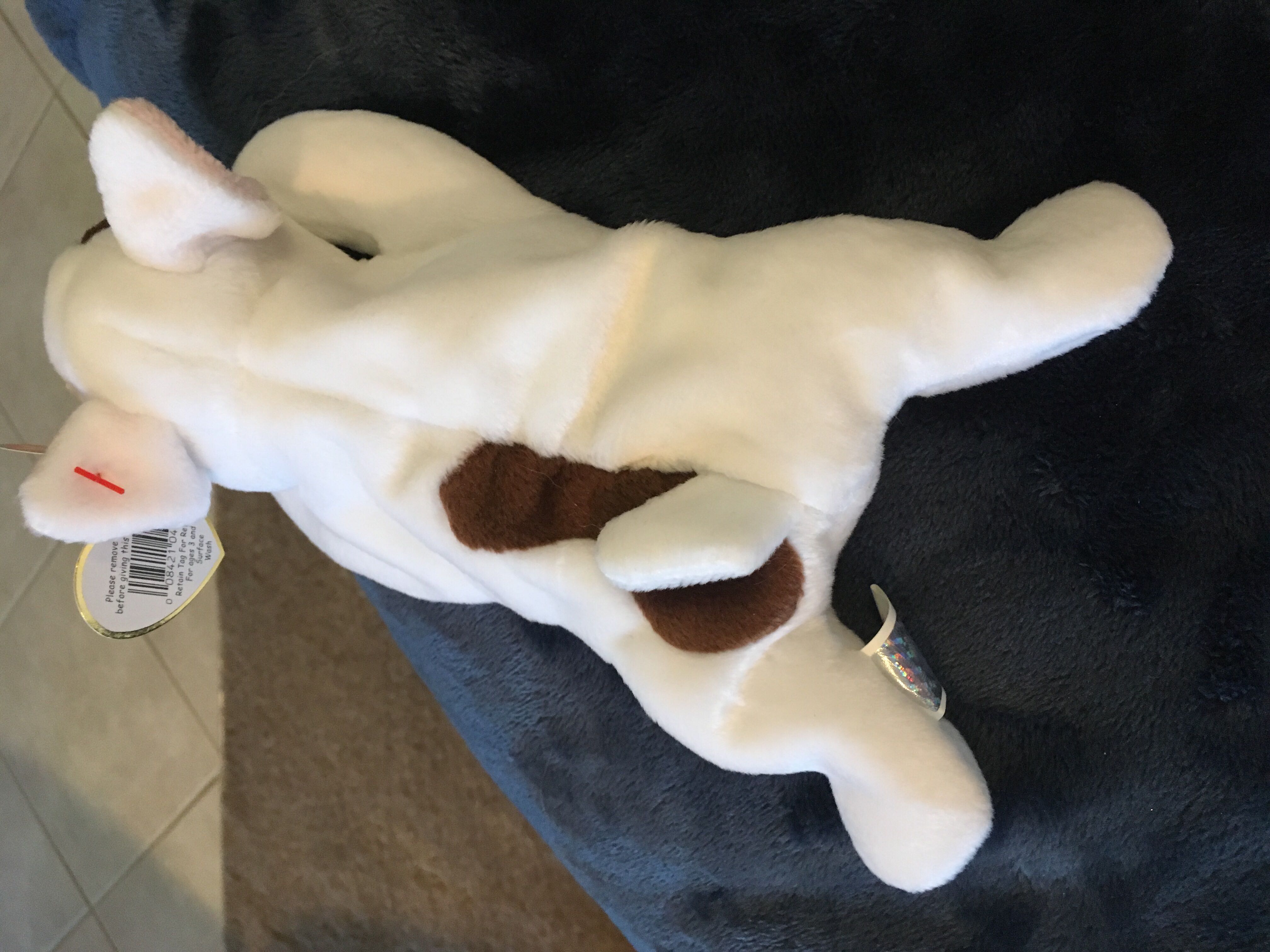 Butch The Bull Terrier  (United States) plush collectible [Barcode 008421042272] - Main Image 4