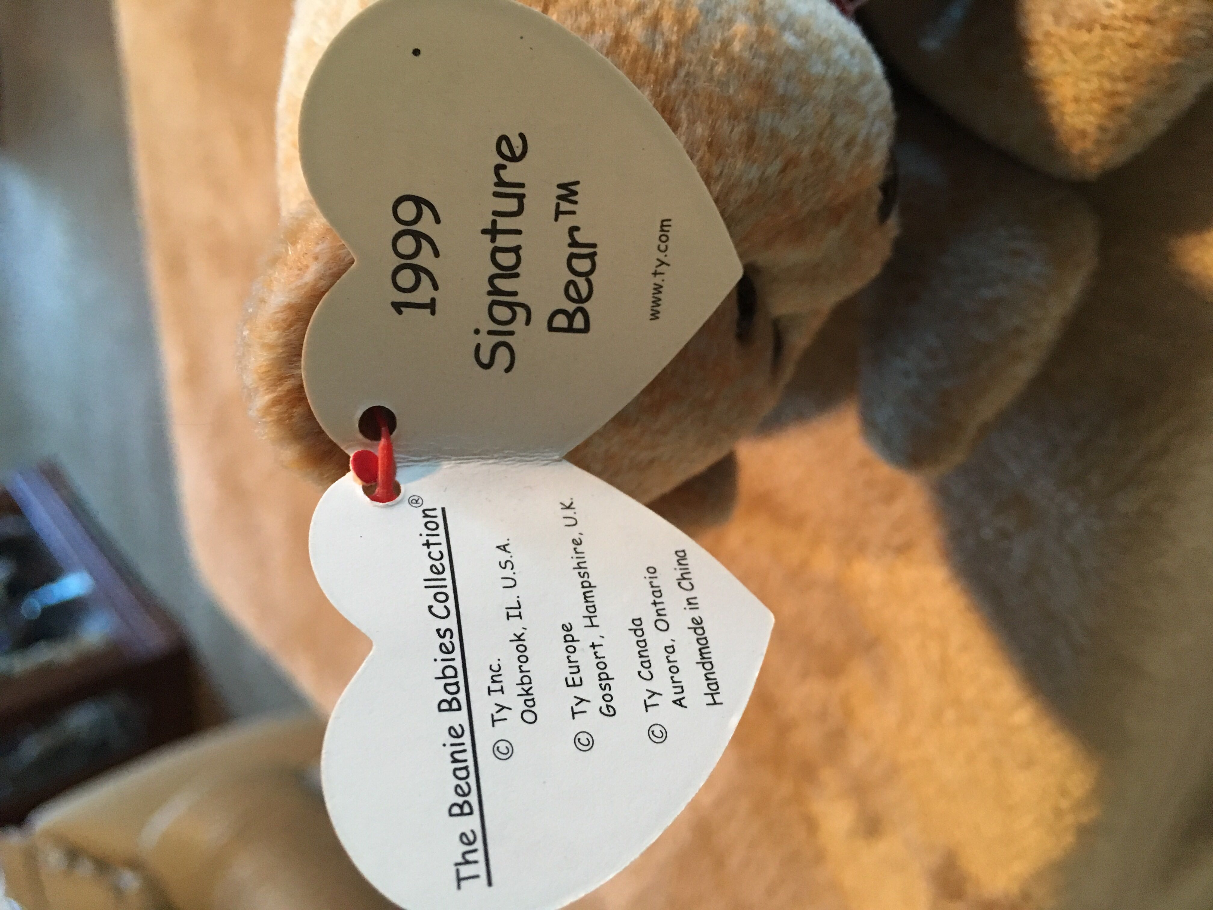 1999 Signature Bear  (China) plush collectible [Barcode 008421042289] - Main Image 3