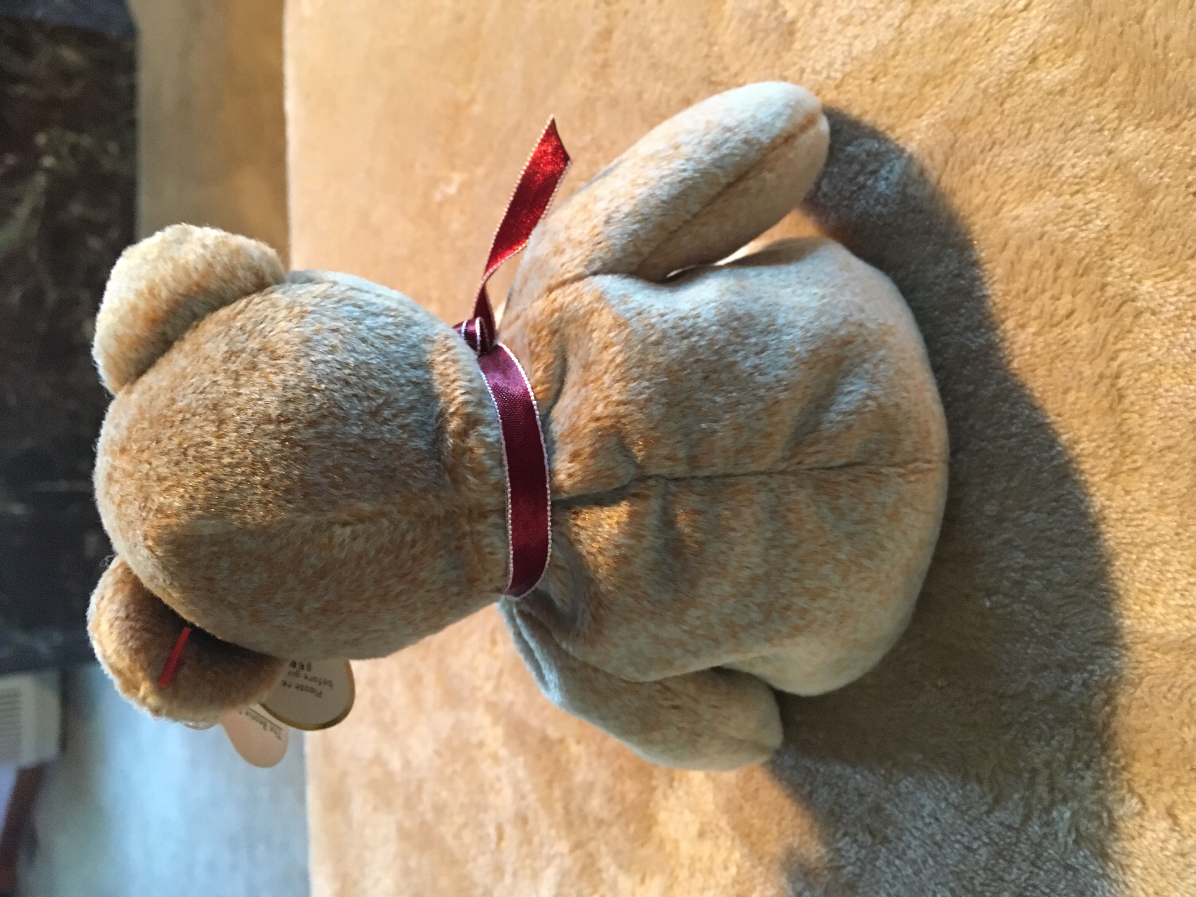 1999 Signature Bear  (China) plush collectible [Barcode 008421042289] - Main Image 4