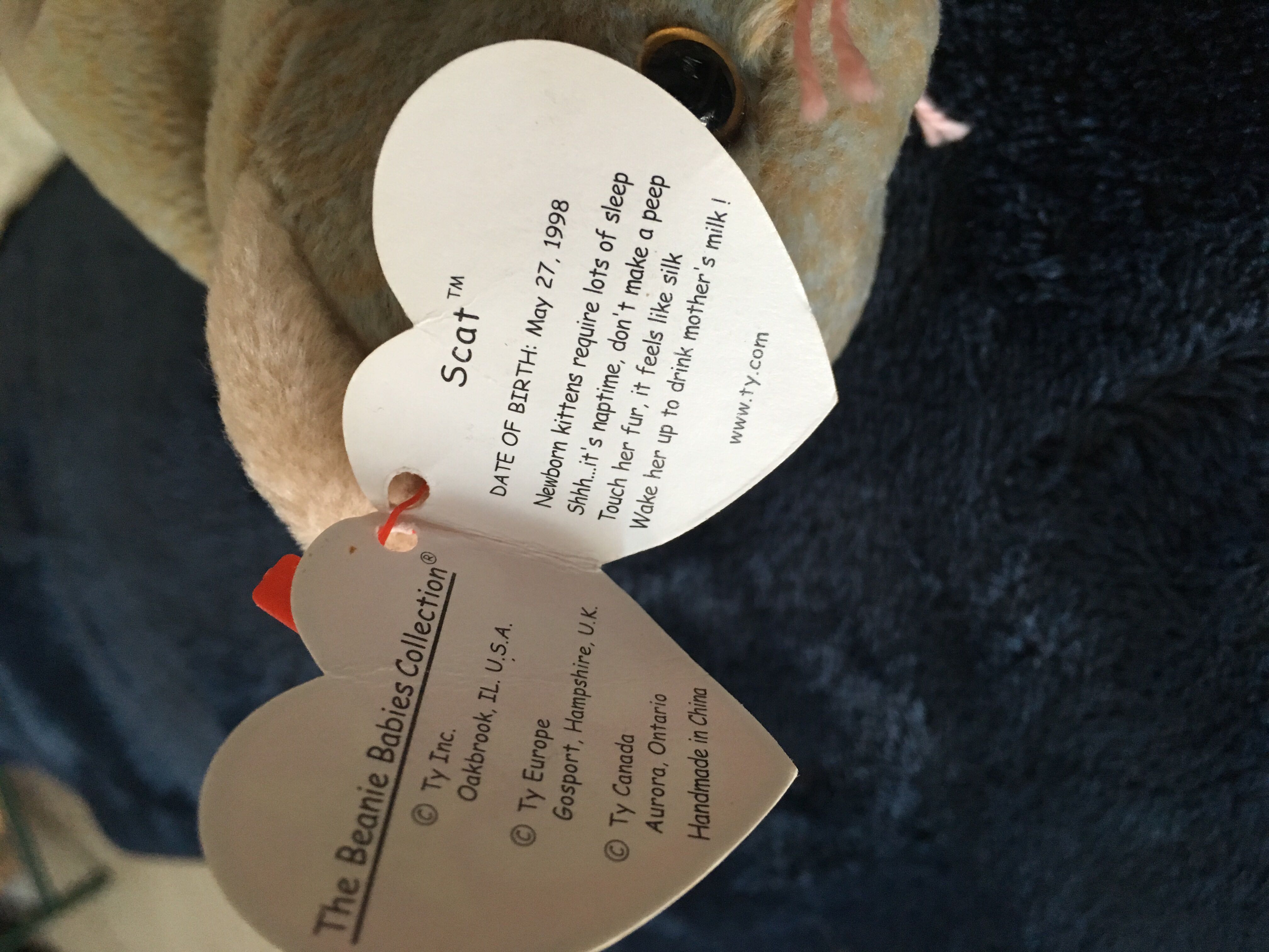 Scat The Cat  (United States) plush collectible [Barcode 008421042319] - Main Image 3