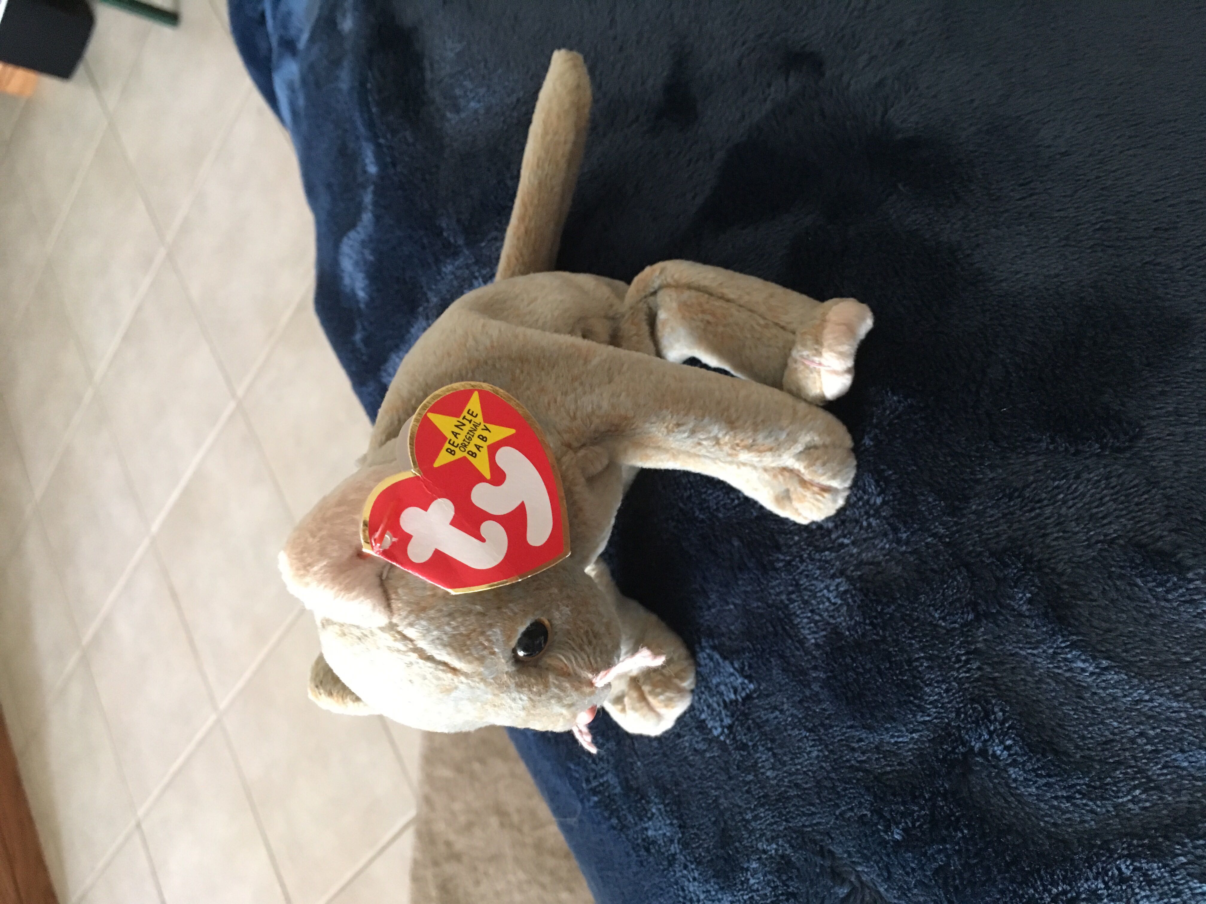 Scat The Cat  (United States) plush collectible [Barcode 008421042319] - Main Image 4