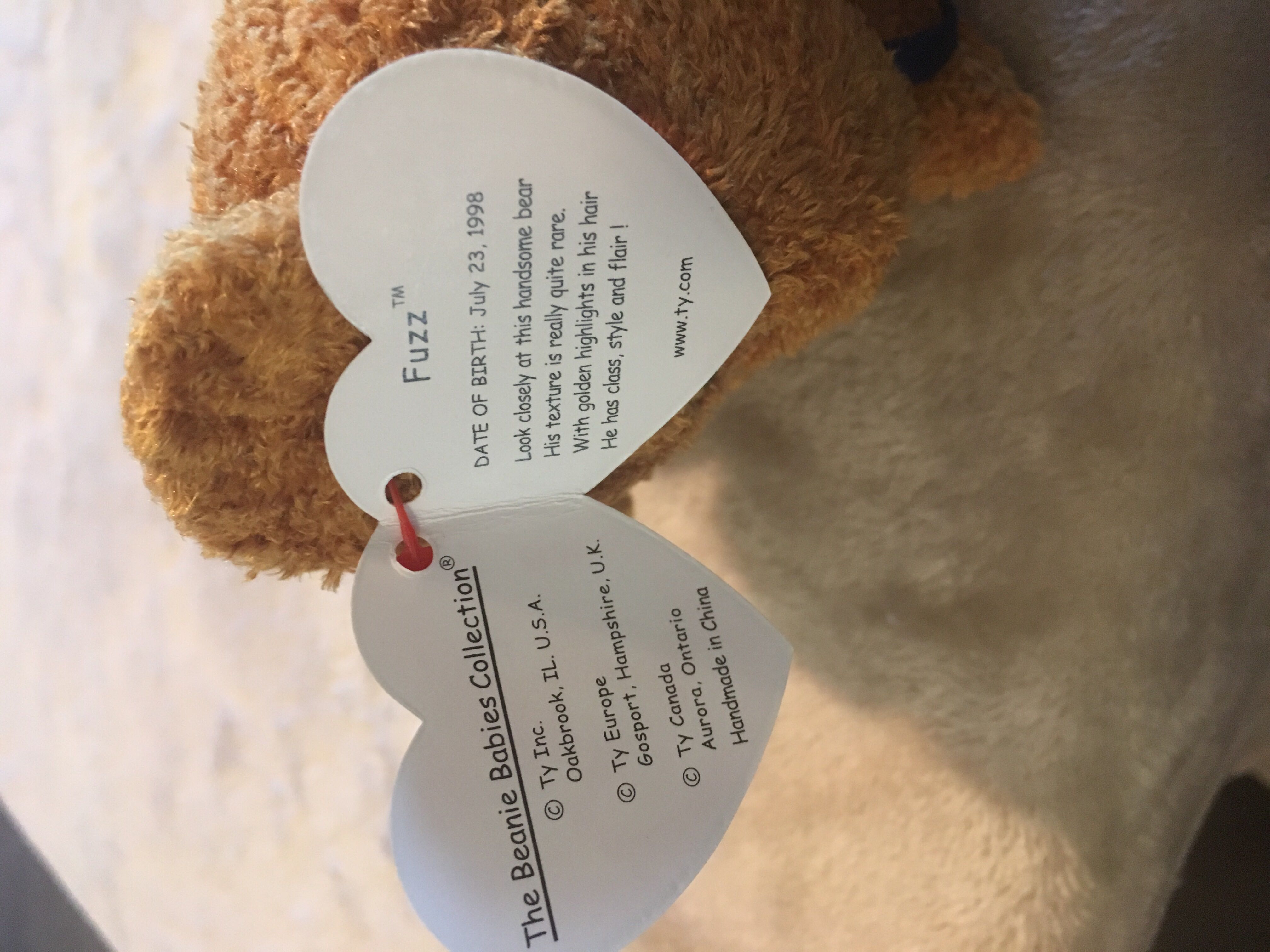 Fuzz The Bear  (United States) plush collectible [Barcode 008421042371] - Main Image 3