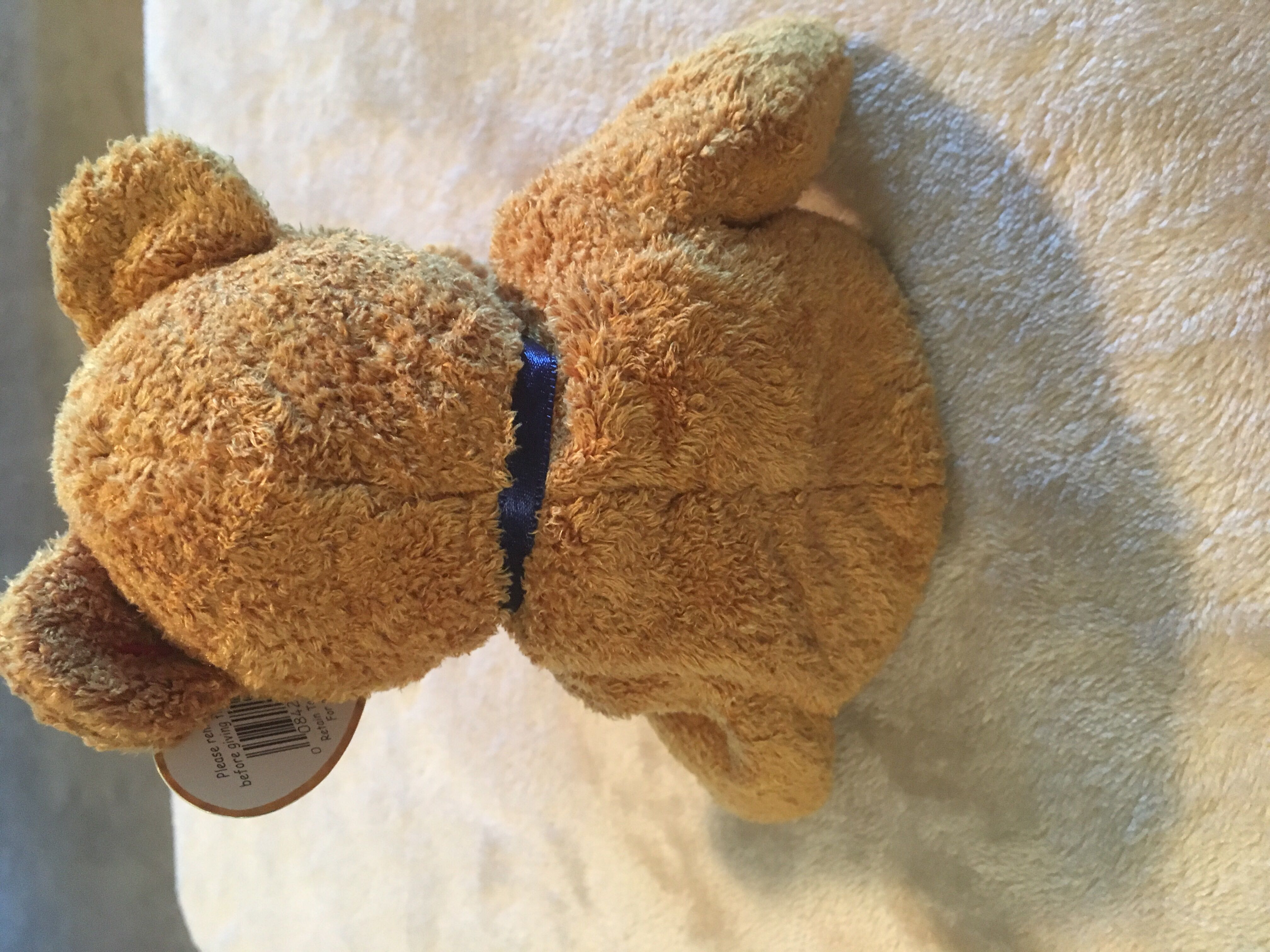 Fuzz The Bear  (United States) plush collectible [Barcode 008421042371] - Main Image 4