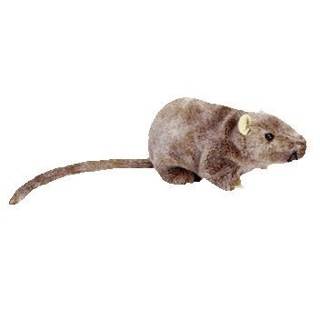 Tiptoe The Mouse