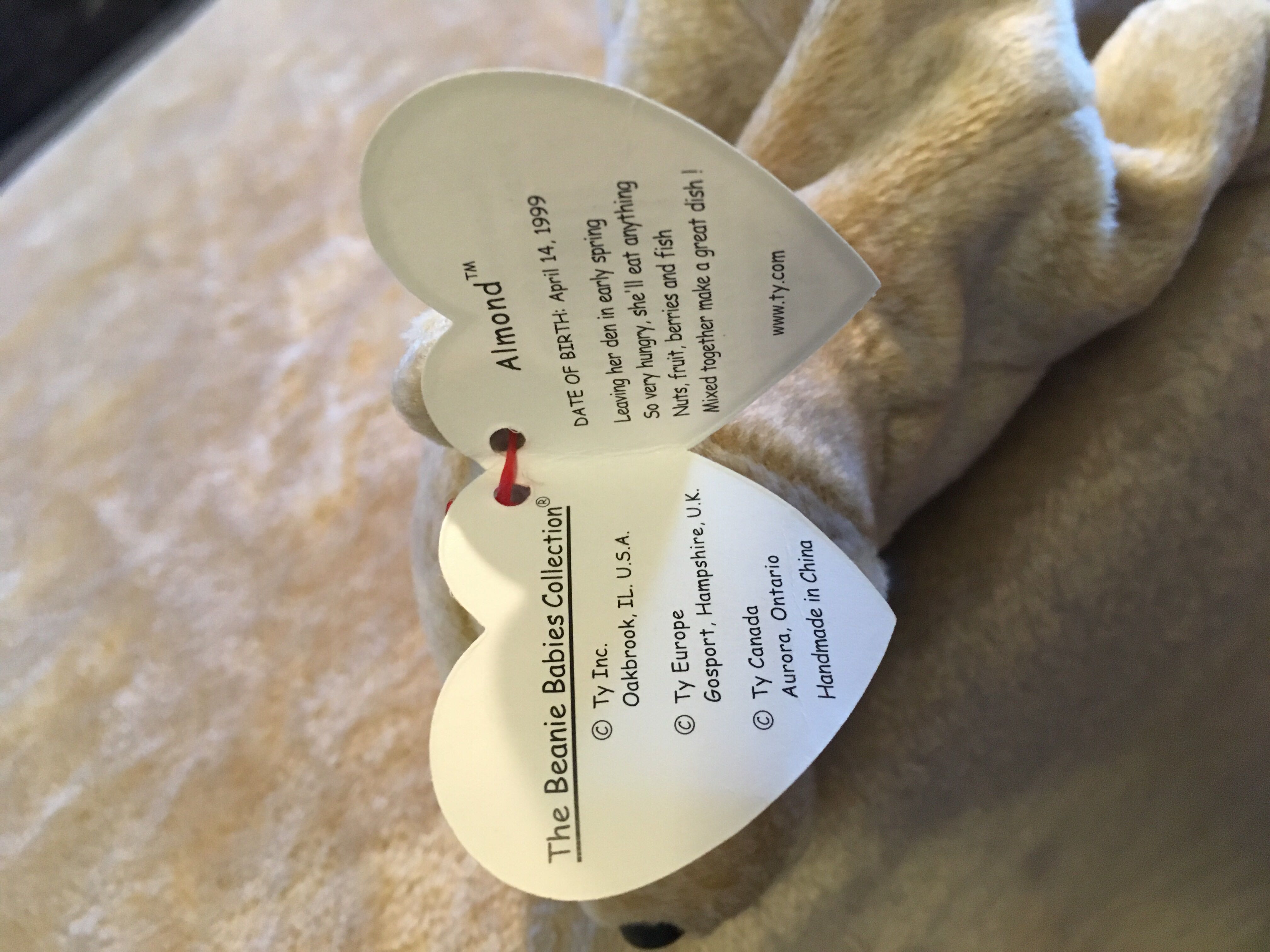 Almond  (United States) plush collectible [Barcode 008421042463] - Main Image 3