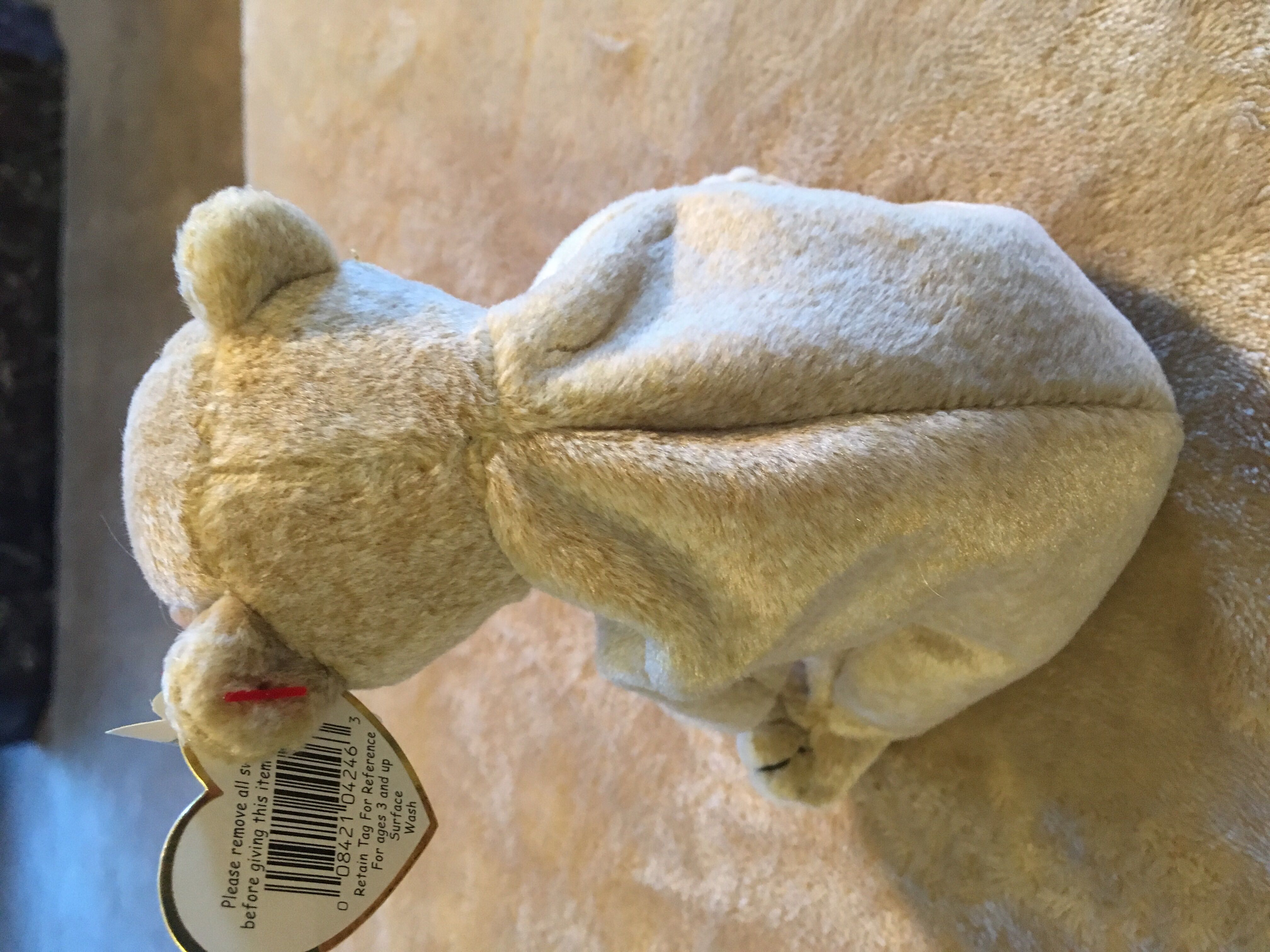 Almond  (United States) plush collectible [Barcode 008421042463] - Main Image 4