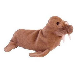 Paul the Walrus In Case