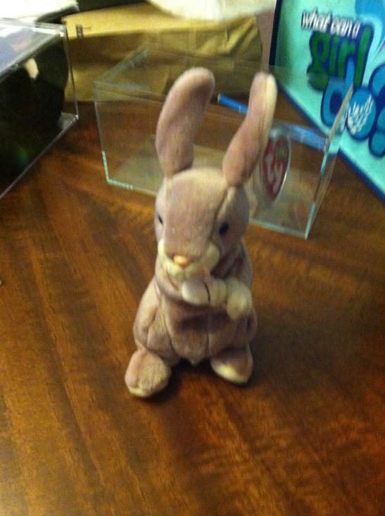 Springy The Bunny Rabbit 1 Available  (United States) plush collectible [Barcode 008421042722] - Main Image 2