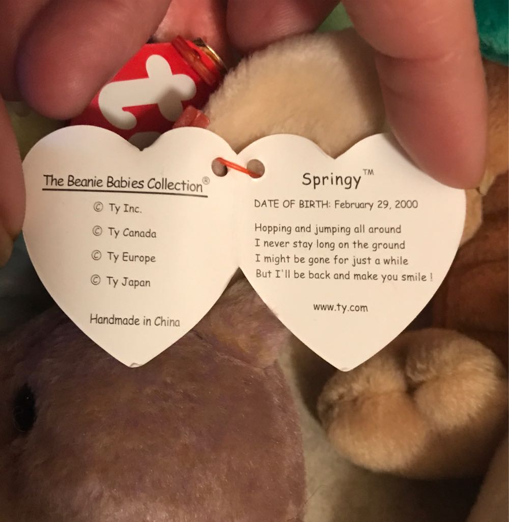 Springy The Bunny Rabbit 1 Available  (United States) plush collectible [Barcode 008421042722] - Main Image 3